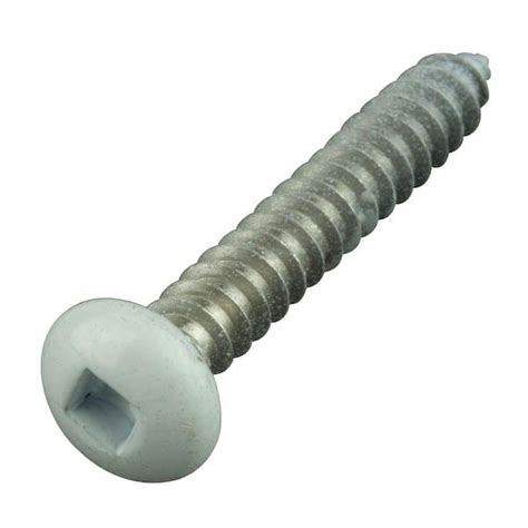 colored sheet metal screws|white head stainless steel screws.